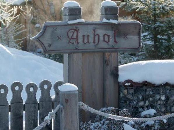 Chalet Auhof Flachau Dış mekan fotoğraf
